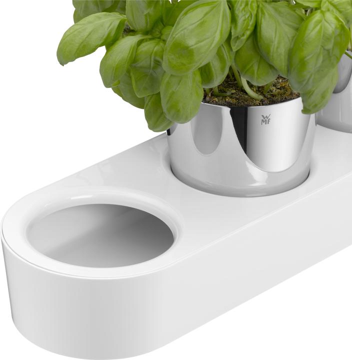 Actual product image WMF herb garden (14 cm)