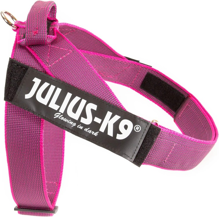 Immagine prodotto Julius-K9 PETTORINA K9 TAGLIA 2 ROSA 71-9 (XL, Cane, Passeggiare, Generale)