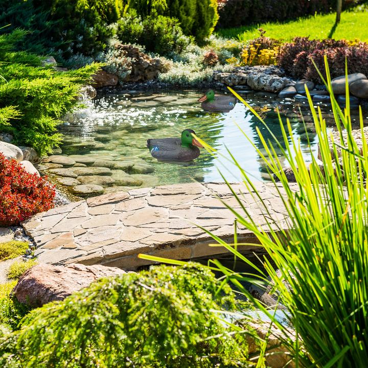 Produktbild Relaxdays Teichente