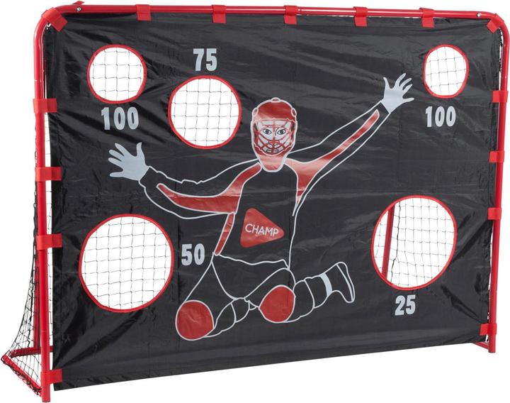 Hudora Floorball goal with goal wall