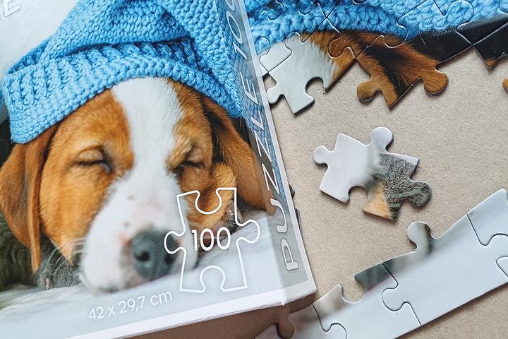 Actual product image Selecta Spielzeug Cute kitten and sleepy dog jigsaw puzzle, 100 pieces. (100 pieces)