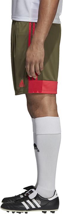 Actual product image adidas Tastigo 19 Shorts (140)