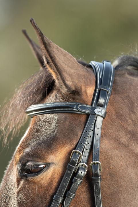 Immagine prodotto HFI Master Technical