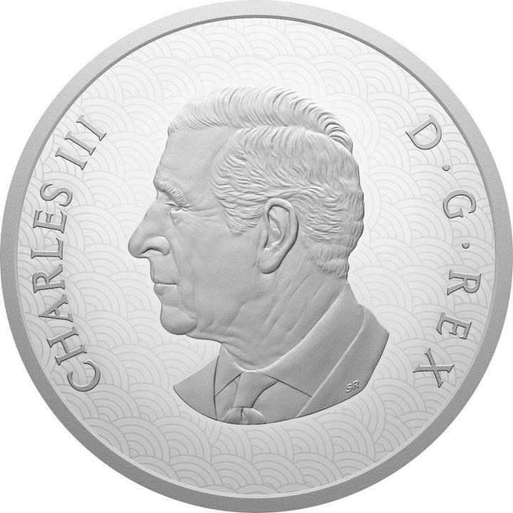 Actual product image Royal Canadian Mint Silber Lunar Pferd 1 oz PP - 2026 (999.90, 2026)