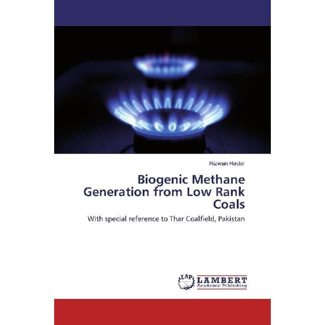 Biogenic Methane Generation from Low Rank Coals, Fachbücher von Rizwan Haider