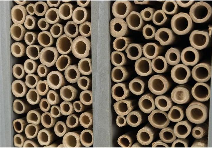 Actual product image Trixie Bee hotel (Bee, Wild bees, Digger wasps)
