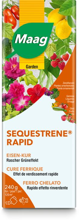 Image du produit Maag Sequestrene Rapid (0.24 kg, 0.59 l)