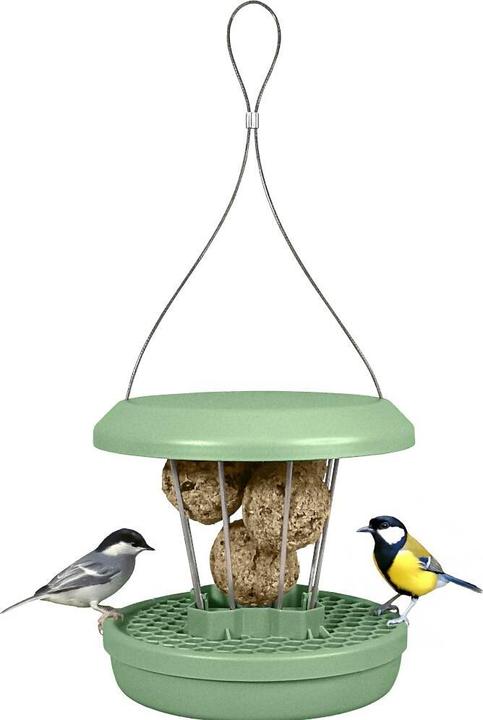 Produktbild Swissinno Vogel-Futtersilo Zurich lorbeergrün SMART BIRDS