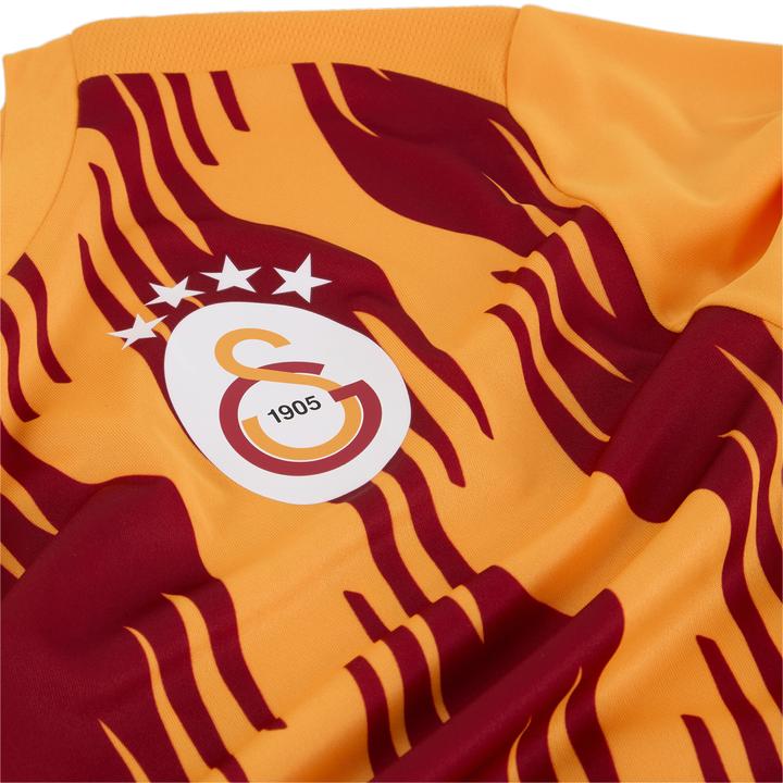 Actual product image Puma GSK Prematch SS Jersey (L)