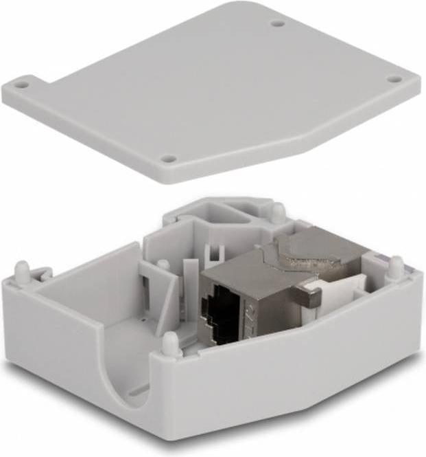 Image du produit Delock Adaptateur pour profilé chapeau avec module Keystone RJ45 femelle vers RJ45 femelle Cat.6A (Support de module Keystone)