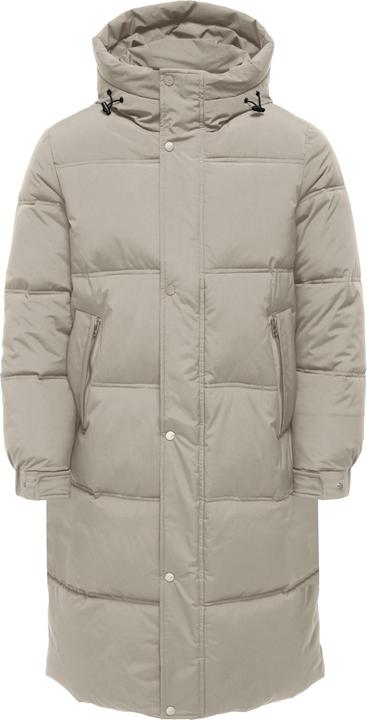 Rivestimento in argento