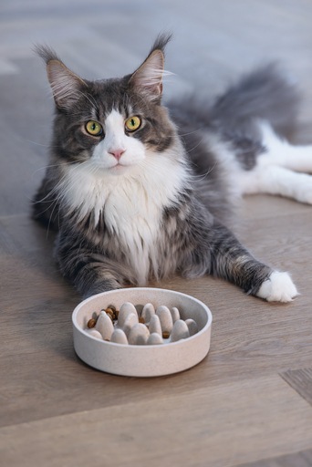 Actual product image Designed by Lotte Cat Pom (0.41 l)