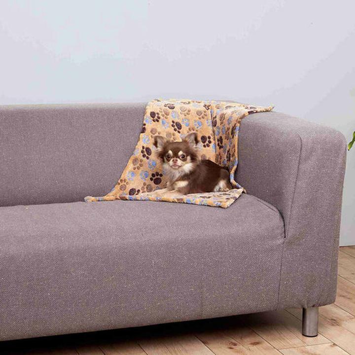 Image du produit Trixie Laslo (Chien)