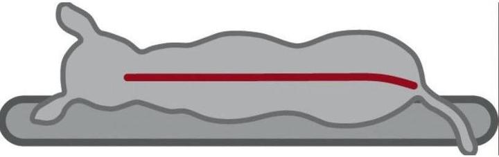 Produktbild Trixie Bendson (Hund)