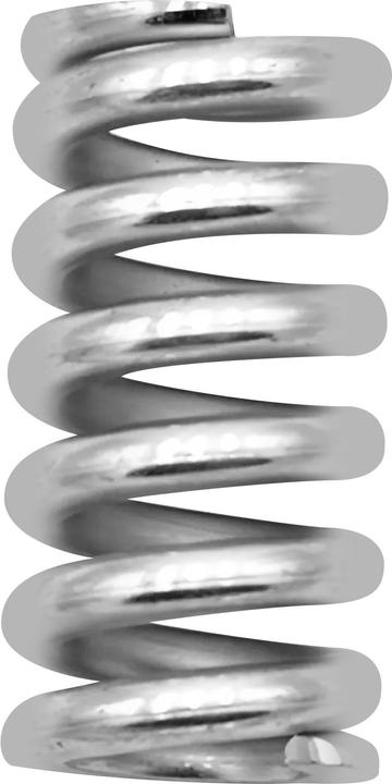 Actual product image Mini Motor Rear Shock Spring