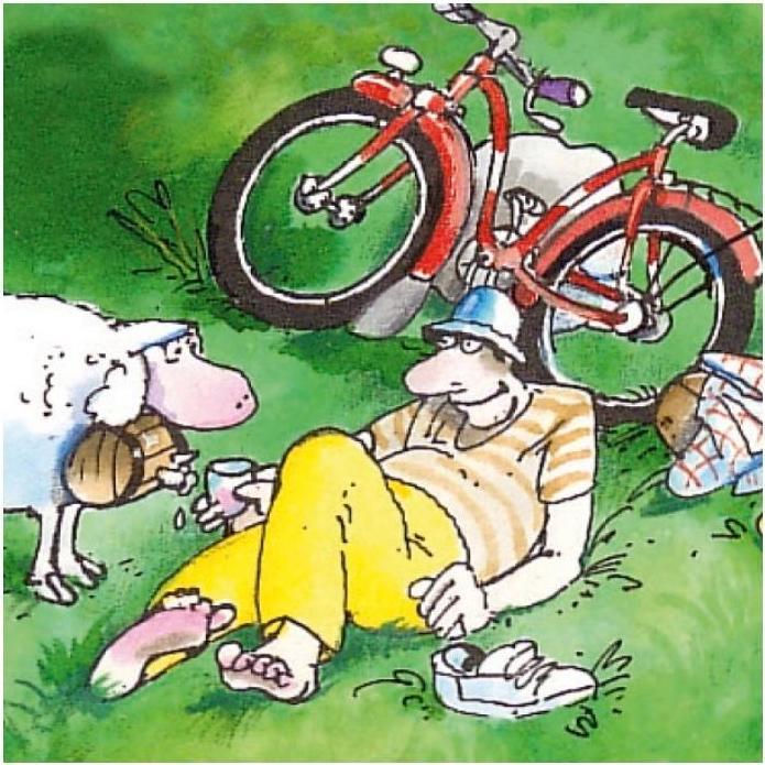 Productafbeelding Heye Wielerwedstrijd (1000 onderdelen)