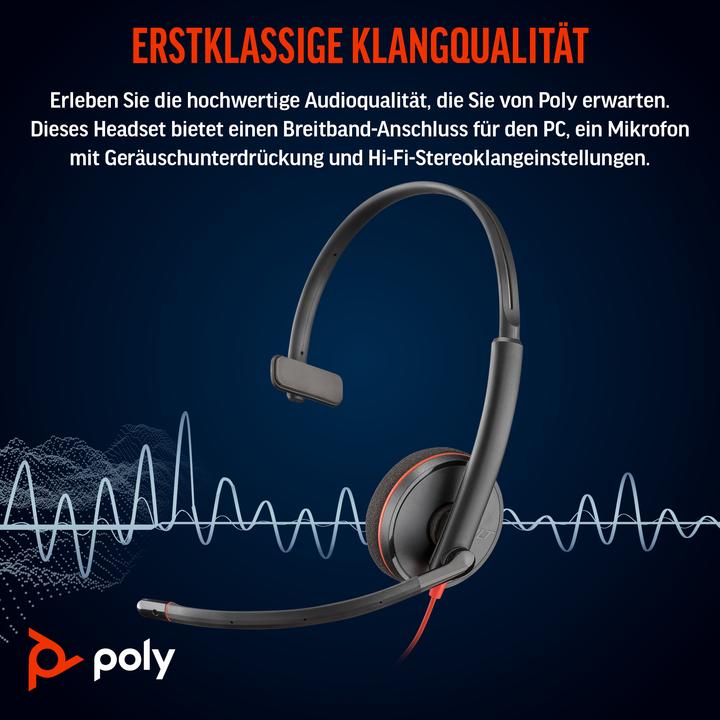 Image du produit Poly Blackwire C3210 USB-C (Filaire, USB-C, Skype)