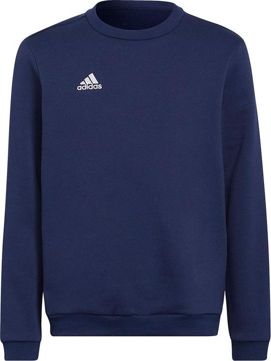 Actual product image adidas Entrada 22 sweatshirt kids (164)