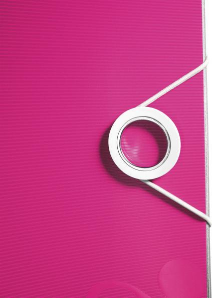 Produktbild Leitz WOW 180° Active (A4, 65 mm, 1 Stück)
