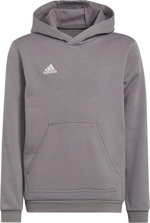 Actual product image adidas Entrada 22 hoodie kids (140)