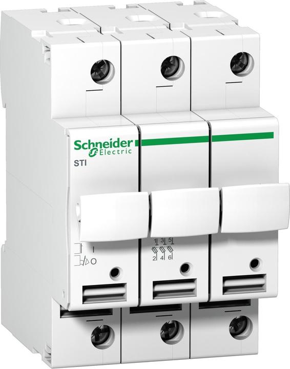 Schneider Electric Fuse disconnect (10 A)
