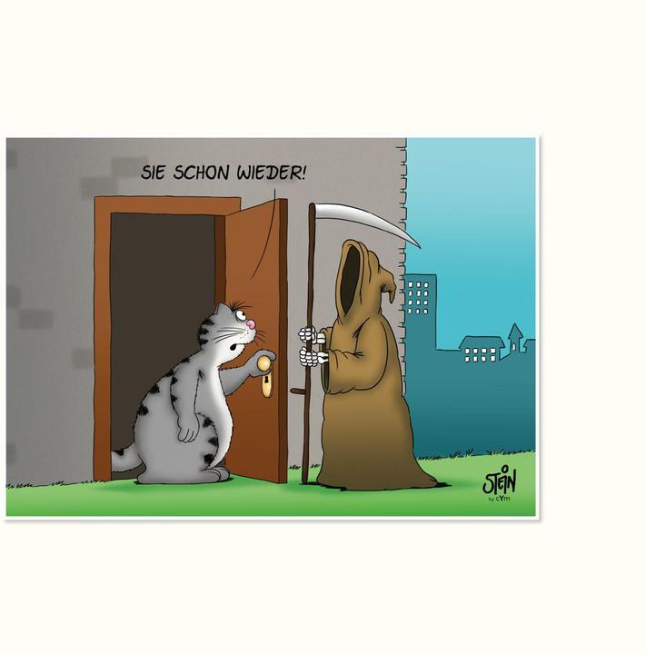 Produktbild Stein:Alles für die Katz(e) (Uli Stein (Deutsch, Uli Stein, 2024)