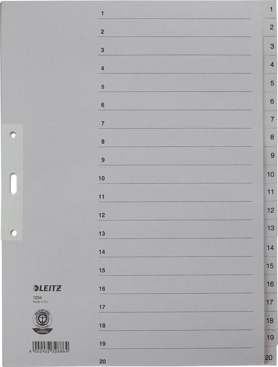 Actual product image Leitz Register Papier