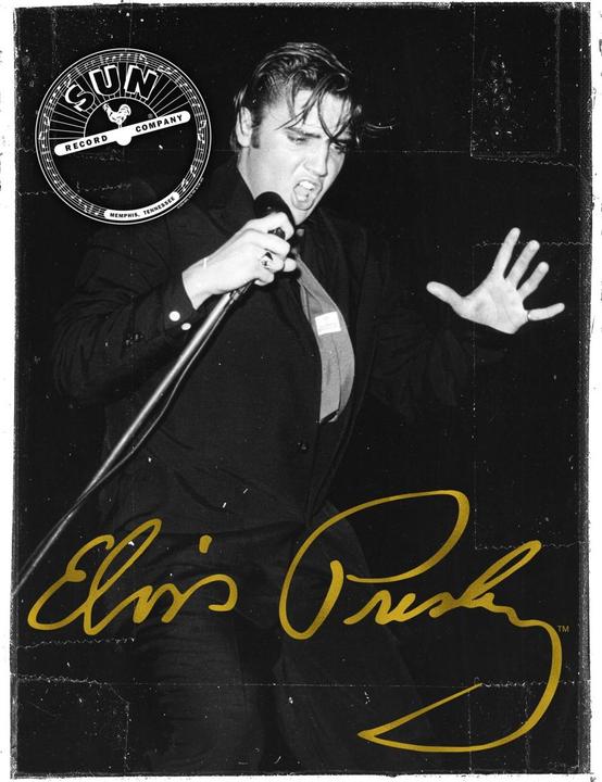 Produktbild Amplified Portrait Live TShirt (3XL)