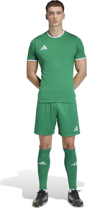 Actual product image Adidas Entrada T-Shirt (M)