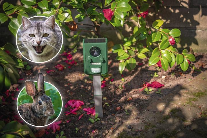 Image du produit Gardigo Détecteur solaire d'animaux (55000 ml)