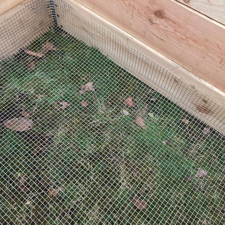 Produktbild Siena Garden Siena Hochbeetgitter verzinkt 2,10 x 1,10 m 6,3 x 6,3 mm/ 0,55 mm stark