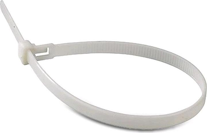100 FASCETTE FASTGRIP 100x2,5 mm IN PVC COLORE BIANCO CON TARGHETTA
