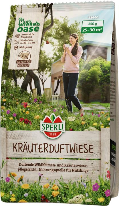 Sperli Semi di fiori di prato profumati alle erbe 0,25 kg (Risemina del prato, Seme di frutta, Semi di erbe, Semi di fiori, Semi di piante)