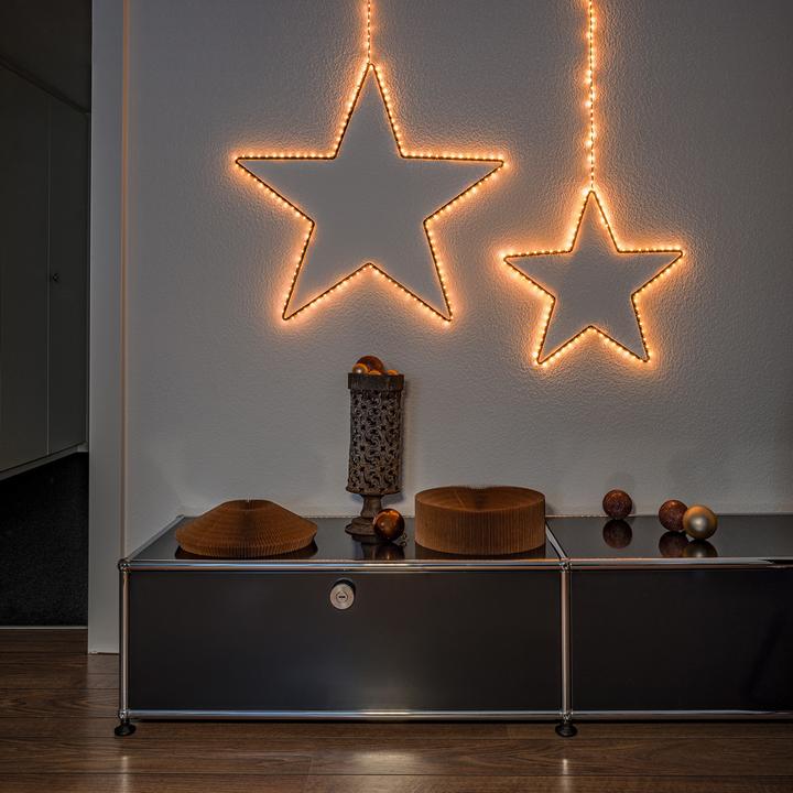 Image du produit STT Étourneau javanais