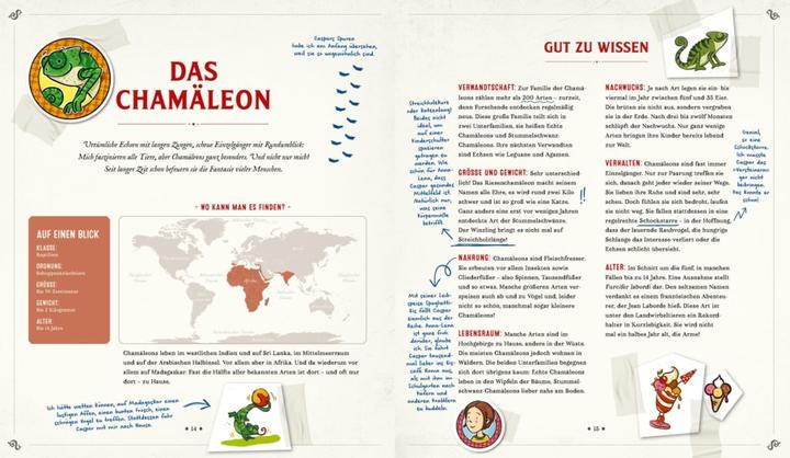 Actual product image Die Schule der magischen Tiere: Mister Morrisons gesammeltes Tierwissen (German, Margit Auer, Martin Verg, 2022)