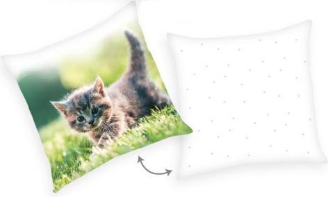 Actual product image Konjac Sponge Kattekilling på graes pude