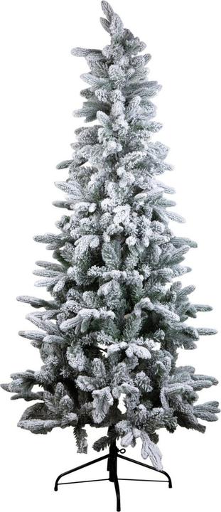 Immagine prodotto Cosy&Trendy Albero di Natale con neve 180x86 cm (180 cm)