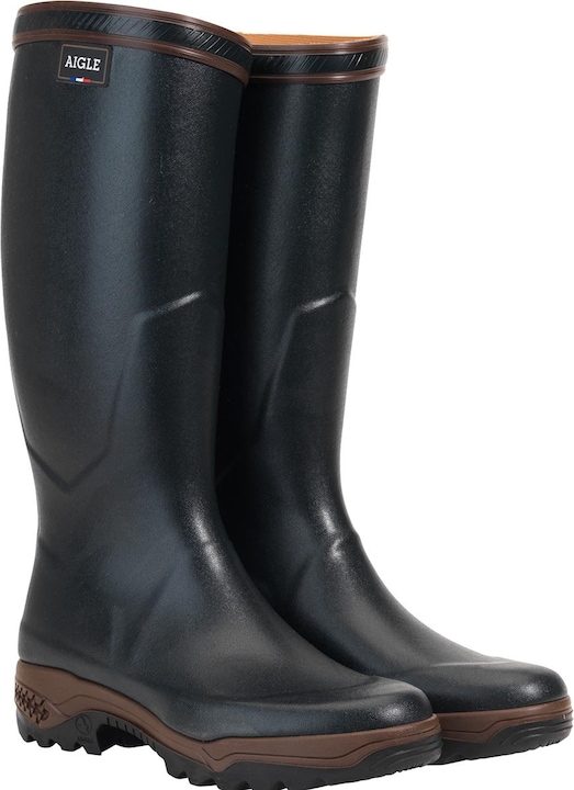 Aigle Corso 2