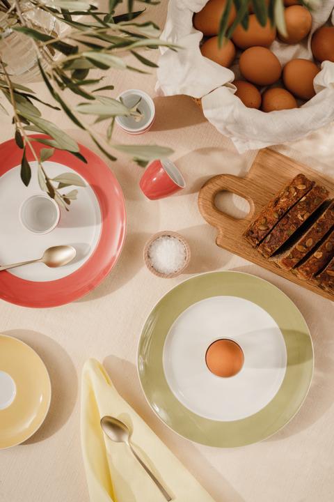 Produktbild Thomas Sunny Day (1x, 23 cm)