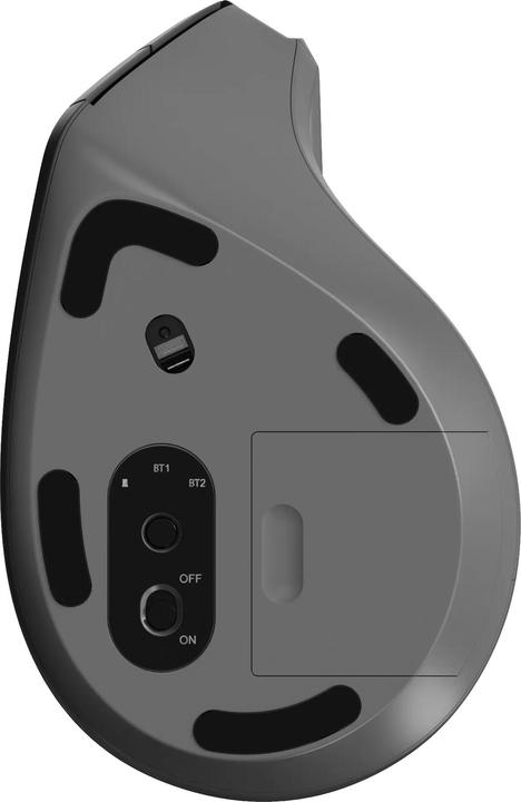 Actual product image Rapoo EV310M Ergo. Wirel. Mouse (Wireless)