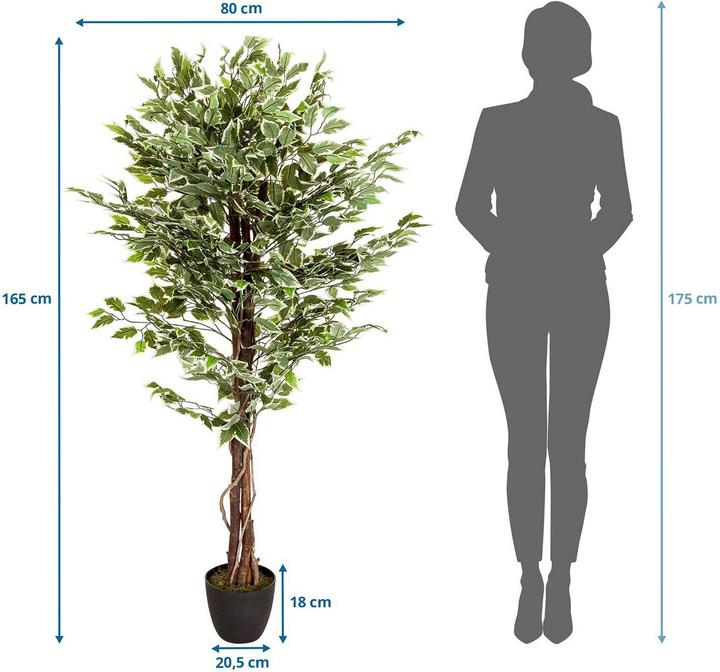 Produktbild Bümö Kunstpflanze Birkenfeige (ficus) (165 cm)