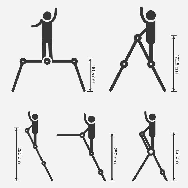 Actual product image Songmics Caroline (Multi-purpose ladder, Stile, Scaffolding, 344 cm)