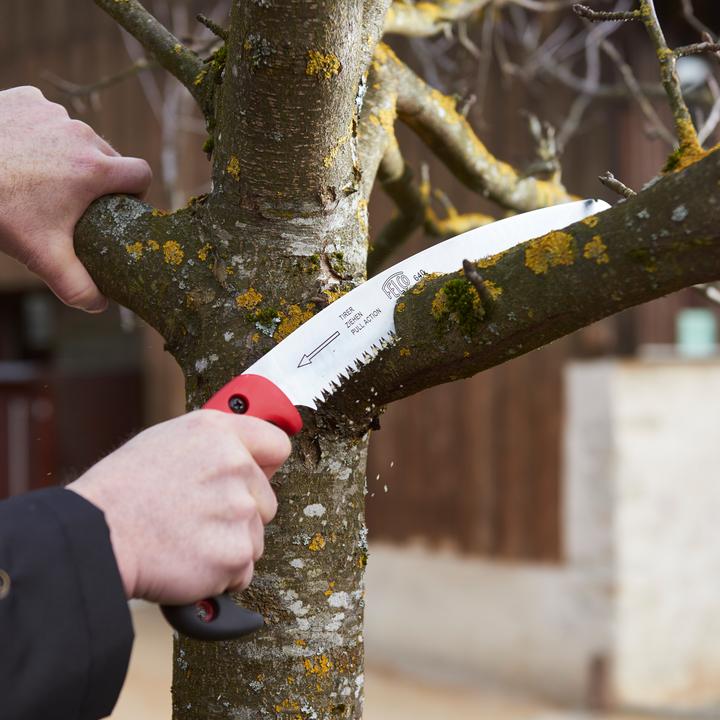 Image du produit Felco Scie à arbre 640