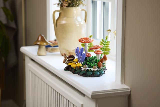 Produktbild LEGO 11505 Waldpilze (LEGO Botanicals)