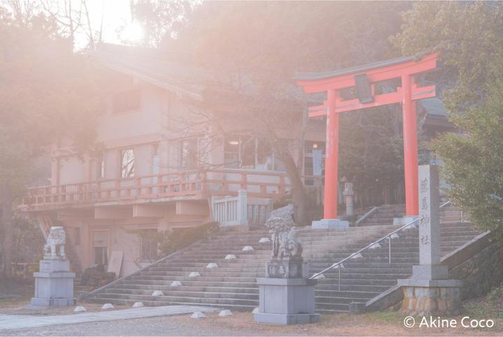 Actual product image Kenko 77.0 Nostaltone Blue (77 mm, Effect filter, 77 mm)