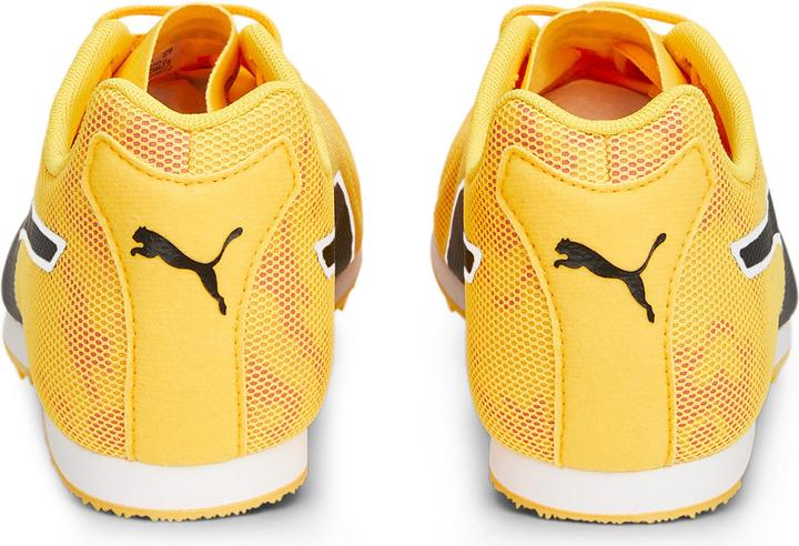 Actual product image Puma evoSPEED Star 8 (42.5)