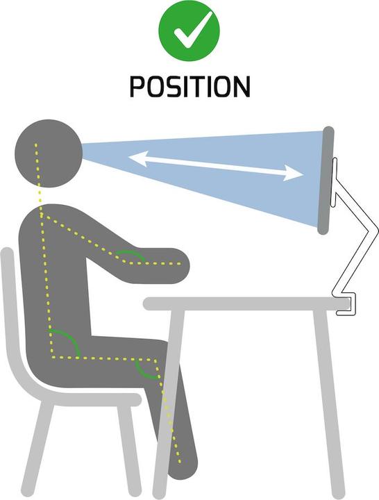 Actual product image Port Designs Monitor arm (Table, 32", 8 kg)