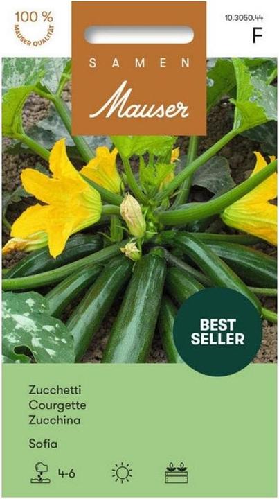 Image du produit Samen Mauser Zucchetti Sofia Profiline (Graines de légumes)