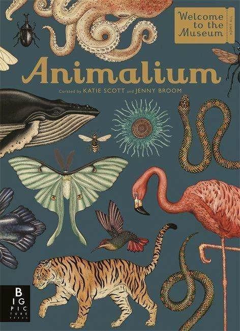 Produktbild Animalium (Englisch, Jenny Broom, Katie Scott, 2014)