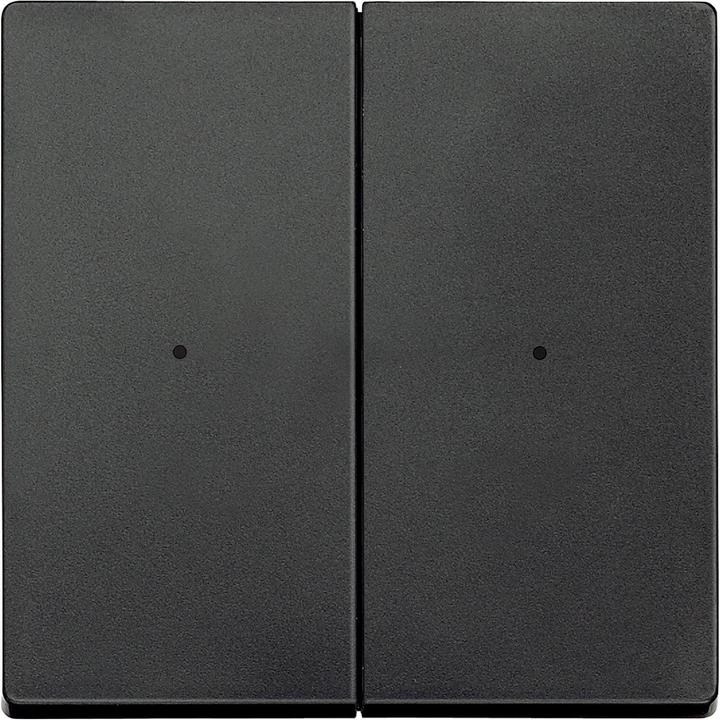 Actual product image Merten Rockers for push-button module 2gang, anthracite, 625214